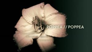 Poppea: 19.11.2016 18.36