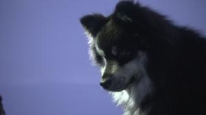 Eränkävijät: 02.10.2016 00.01