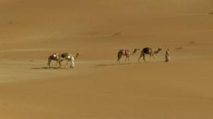 Aavikon haastamat: 26.10.2016 19.00