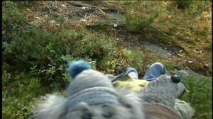 Karvakuonot ja Susikurun seikkailu (S): 27.06.2016 18.00