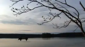 Erätulilla - kalavesillä: 05.07.2016 08.01