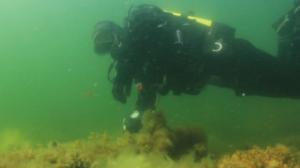 Itämeri pintaa syvemmältä: 28.07.2016 20.25