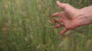 Schrödingerin kissa: tiedettä tutkaillen: 05.11.2016 18.30