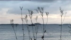 Erätulilla - kalavesillä: 14.11.2016 08.50