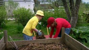 Puutarhan tonttu: 09.06.2016 07.03