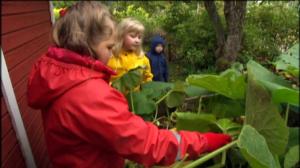 Puutarhan tonttu: 08.09.2016 07.03