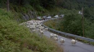 Suojaisa laakso: 26.07.2016 19.45