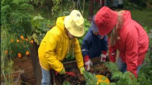 Puutarhan tonttu: 25.08.2016 07.03