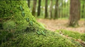 Ruohonjuuritasolla (S): 23.08.2016 18.50