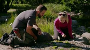 Dok: Sopeudu, siirry tai kuole: 27.11.2015 20.00