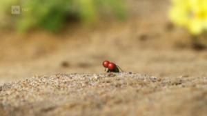 Ruohonjuuritasolla (S): 08.06.2016 18.57