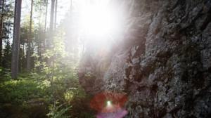 Metsien kätkemä: 14.06.2016 20.03