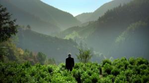 Taiteen maantiede: Kiina: 23.08.2016 20.01