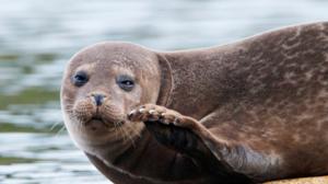 Luontoretkellä: Oslovuonon salaisuudet: 29.05.2016 15.15