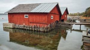 Metsien kätkemä: 14.06.2016 20.02