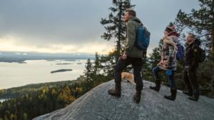 Metsien kätkemä: 14.06.2016 20.04