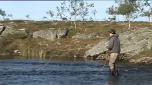 Erätulilla - kalavesillä: 05.07.2016 08.10