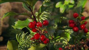 Jouluiloa puutarhasta: 14.12.2016 19.00