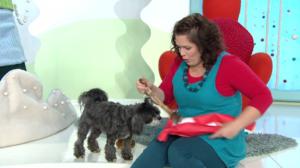 Joulutuuma: 27.12.2016 07.21