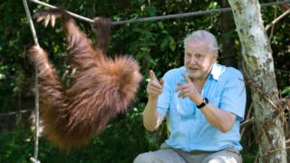David Attenborough - luonnon asialla: 31.12.2015 08.05