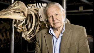 David Attenborough - luonnon asialla: 03.11.2015 19.00