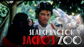 Searching for Jacko's Zoo