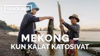 Mekong - kun kalat katosivat