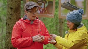 Ulos luontoon Kevätseuranta