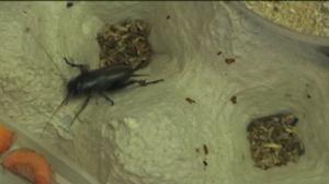 Yle Uutiset Itä-Suomi: Yle Uutiset Itä-Suomi 23-11-2017 Klo 17-06: 23.11.2017 16.32