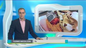 Yle Uutiset Pohjois-Suomi: Yle Uutiset Pohjois-Suomi 23-11-2017 Klo 18-22: 23.11.2017 17.56