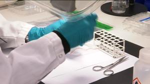 Yle Uutiset Uusimaa: Yle Uutiset Uusimaa 23-11-2017 klo 17-06: 23.11.2017 18.29