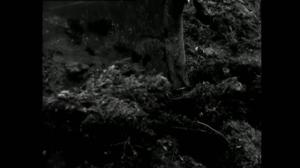 Oi maamme!: Työ: 24.11.2017 19.04