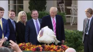 Uutisvuoto: 25.11.2017 21.15