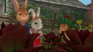 Petteri Kaniini (S): 28.11.2017 08.08