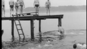 Oi maamme!: Vesipetoinen: 29.11.2017 17.36