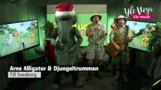 Arne Alligator och Djungeltrumman - Djungelfebershow: Arne Alligator - Djungelfebershow (S): 05.12.2017 15.22