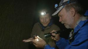 Luontomatkalla: 07.12.2017 09.05