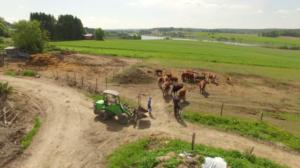 Henkilökuva: Maanviljelijä Miro: 08.12.2017 07.14