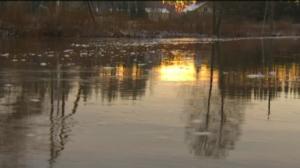 Yle Uutiset Lounais-Suomi: Yle Uutiset Lounais-Suomi 11-12-2017 Klo 17-06: 11.12.2017 16.29