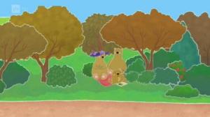 Jääkarhu Otto (S): 14.12.2017 06.53