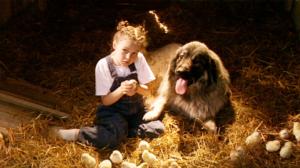 Myrsky (7): 15.12.2017 02.00