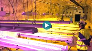 Yle Uutisluokka Triplet: Suomalaisen kaivoksen tunneleissa 660 metrissä kasvaa perunaa: 15.12.2017 10.50