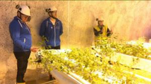 Yle Uutiset Pohjois-Suomi: Yle Uutiset Pohjois-Suomi 15-12-2017 Klo 17-06: 15.12.2017 16.33