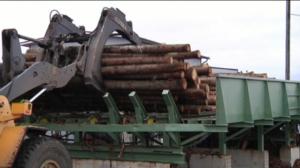 Yle Uutiset Pohjanmaa: Yle Uutiset Pohjanmaa 15-12-2017 Klo 17-06: 15.12.2017 16.37