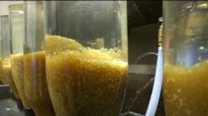 Yle Uutiset Häme: Yle Uutiset Häme 15-12-2017 klo 17-06: 15.12.2017 16.54