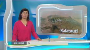 Yle Uutiset Häme: Yle Uutiset Häme 15-12-2017 Klo 18-22: 15.12.2017 18.10