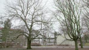 Musiikin voima: Magnus Lindberg: 18.12.2017 06.00