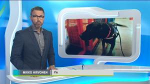 Yle Uutiset Lounais-Suomi: Yle Uutiset Lounais-Suomi 18-12-2017 Klo 18-22: 18.12.2017 17.29