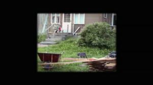 Docstop: Veli: 20.12.2017 00.01