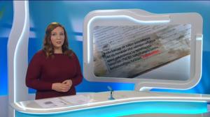 Yle Uutiset Lounais-Suomi: Yle Uutiset Lounais-Suomi 20-12-2017 Klo 18-22: 20.12.2017 17.29